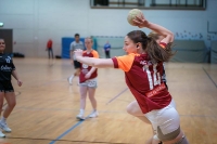 Spieltag 03.01.25 Spiel 8: HSG Dilltal / KSG Bieber(Fotos: Jörg Förster)