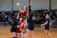 Spieltag 03.01.25 Spiel 8: HSG Dilltal / KSG Bieber(Fotos: Jörg Förster)