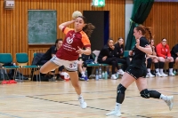 Spieltag 03.01.25 Spiel 8: HSG Dilltal / KSG Bieber(Fotos: Jörg Förster)