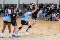 Spieltag 05.01.25 Spiel 13: KSG Bieber / HSG Herborn-Seelbach (Fotos: Reiner Knapp)