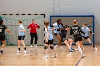 Spieltag 05.01.25 Spiel 13: KSG Bieber / HSG Herborn-Seelbach (Fotos: Reiner Knapp)