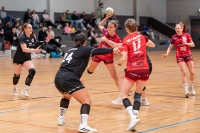 Spieltag 05.01.25 Spiel 15: HSG Dilltal / TSG Leihgestern (Fotos: Jörg Förster)