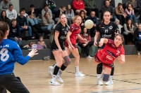 Spieltag 05.01.25 Spiel 15: HSG Dilltal / TSG Leihgestern (Fotos: Jörg Förster)