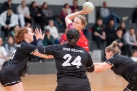 Spieltag 05.01.25 Spiel 15: HSG Dilltal / TSG Leihgestern (Fotos: Jörg Förster)