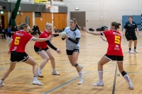 Spieltag 10.01.25 Spiel 24: HSG Linden / HSG Wettenberg (Fotos: Reiner Knapp)