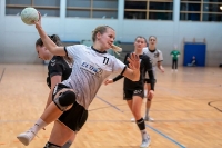 Spieltag 11.01.25 Spiel 28: KSG Bieber / HSG Linden (Fotos: Jörg Förster)