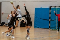 Spieltag 11.01.25 Spiel 28:  KSG Bieber / HSG Linden (Fotos: Reiner Knapp)