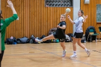 Spieltag 11.01.25 Spiel 28:  KSG Bieber / HSG Linden (Fotos: Reiner Knapp)