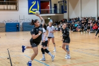 Spieltag 11.01.25 Spiel 28:  KSG Bieber / HSG Linden (Fotos: Reiner Knapp)