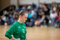 Spieltag 11.01.25 Spiel 28:  KSG Bieber / HSG Linden (Fotos: Reiner Knapp)